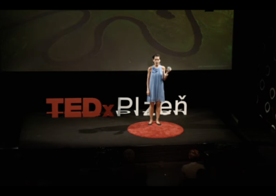 TEDx Plzen 2017