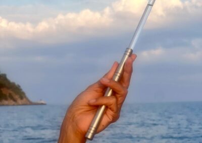 Analemma tycinka Diana Siswartonova cervena repa