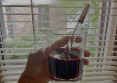 Analemma Diana Siswartonova